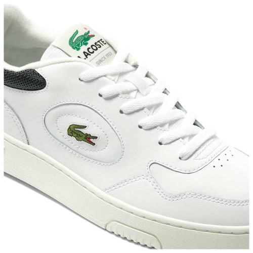 Lacoste Lineset 2231 SMA